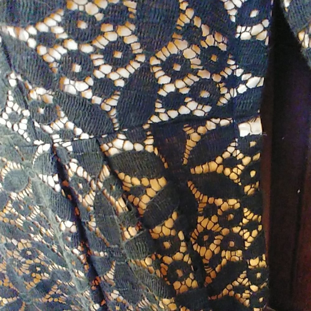Vintage 60s Black Overlay Lace Dress - Picture 5 of 8